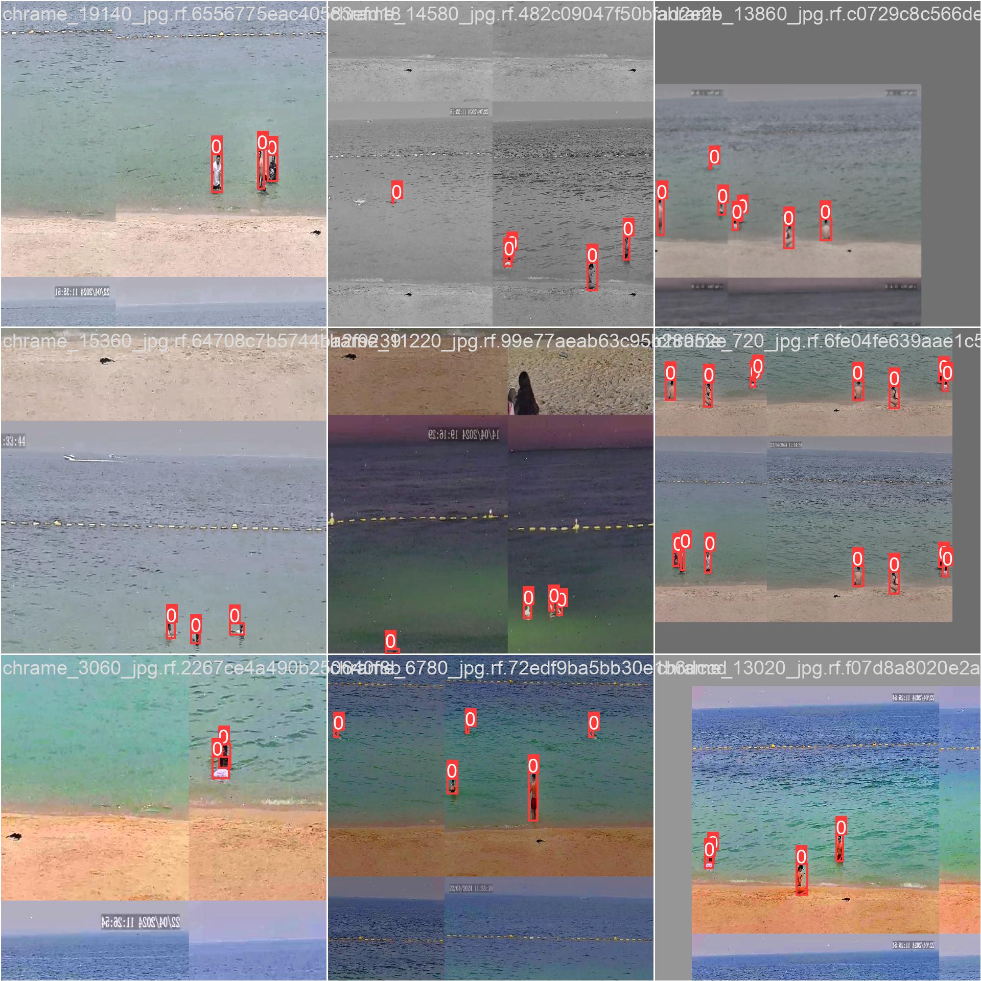 Drowning detection system screenshot 1